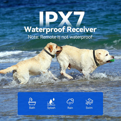 Portable wireless dog boundary system setup for RV camping