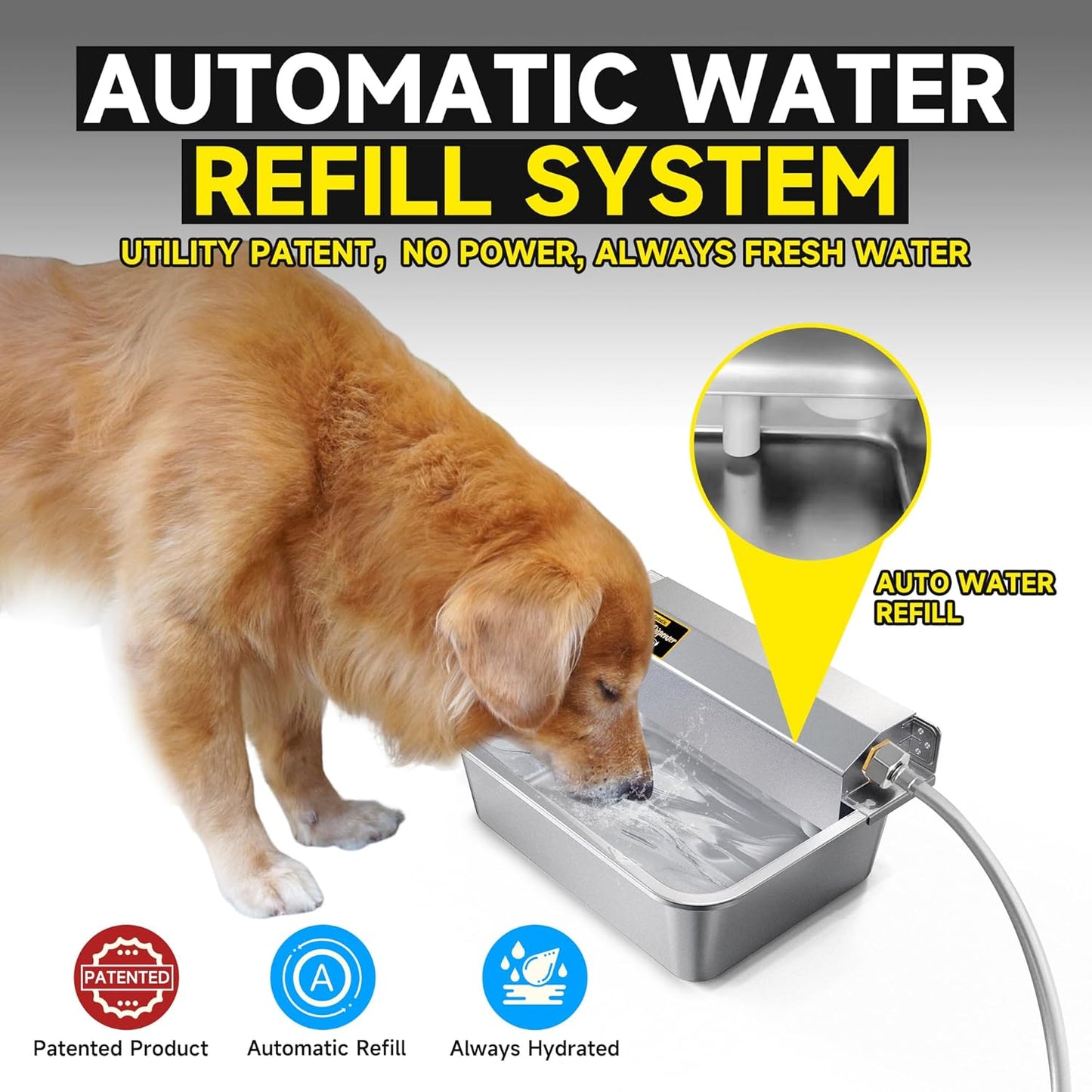 PETSOLON self filling pet waterer wall mounted in outdoor backyard