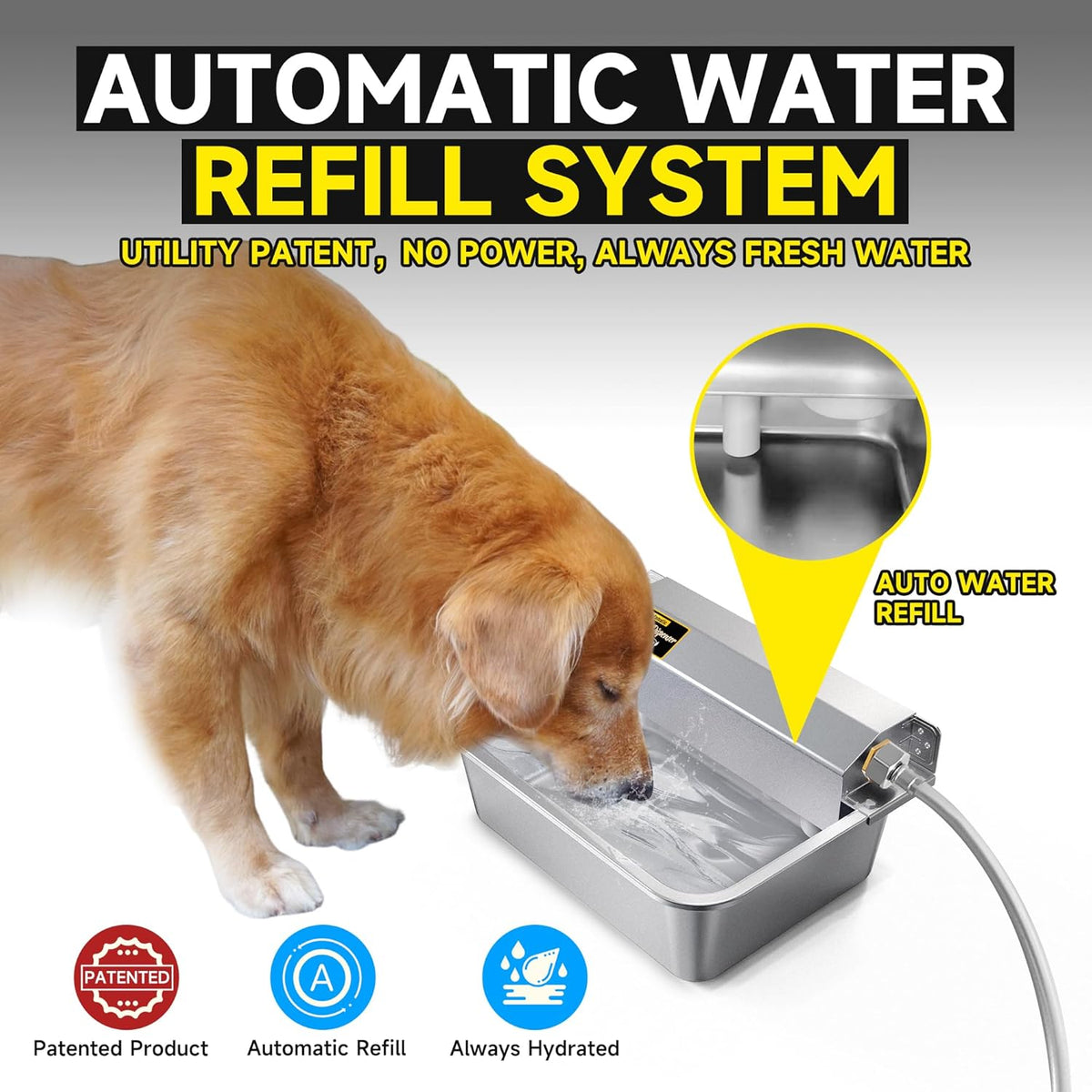 PETSOLON self filling pet waterer wall mounted in outdoor backyard