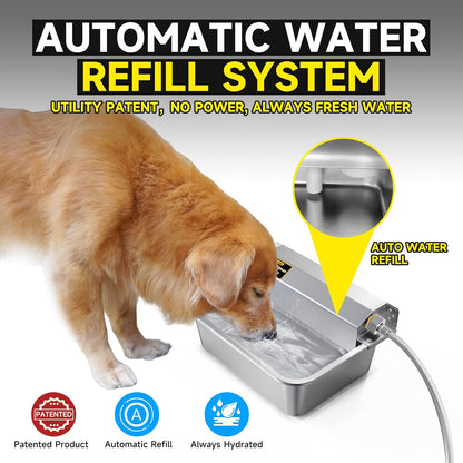 PETSOLON self filling pet waterer wall mounted in outdoor backyard