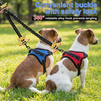 Sunnymove double dog training lead showing the secure metal fasteners and the bungee extension mechanism for shock absorption.