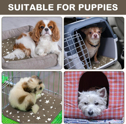 Namalu pet mat used inside a pet kennel
