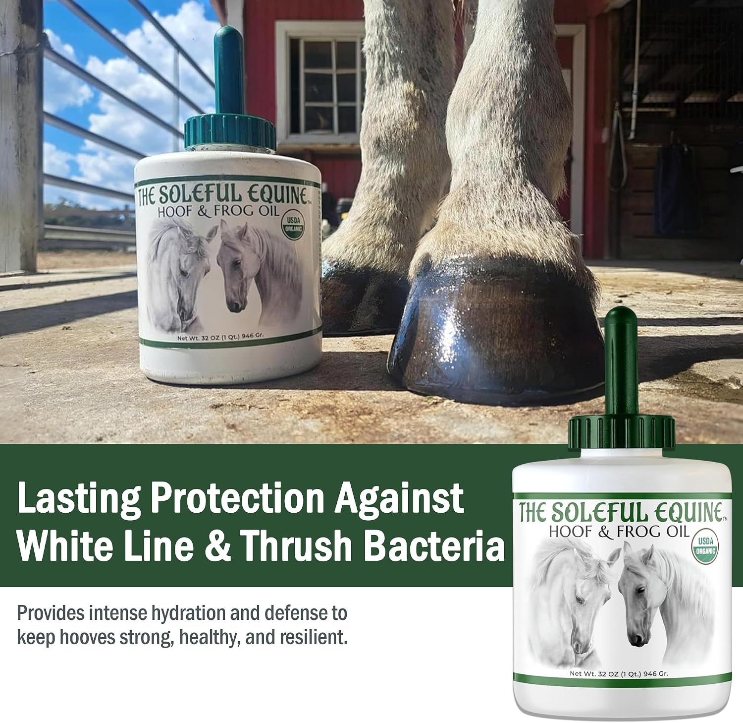 The Soleful Equine horse hoof and frog oil applicator bottle for white line disease