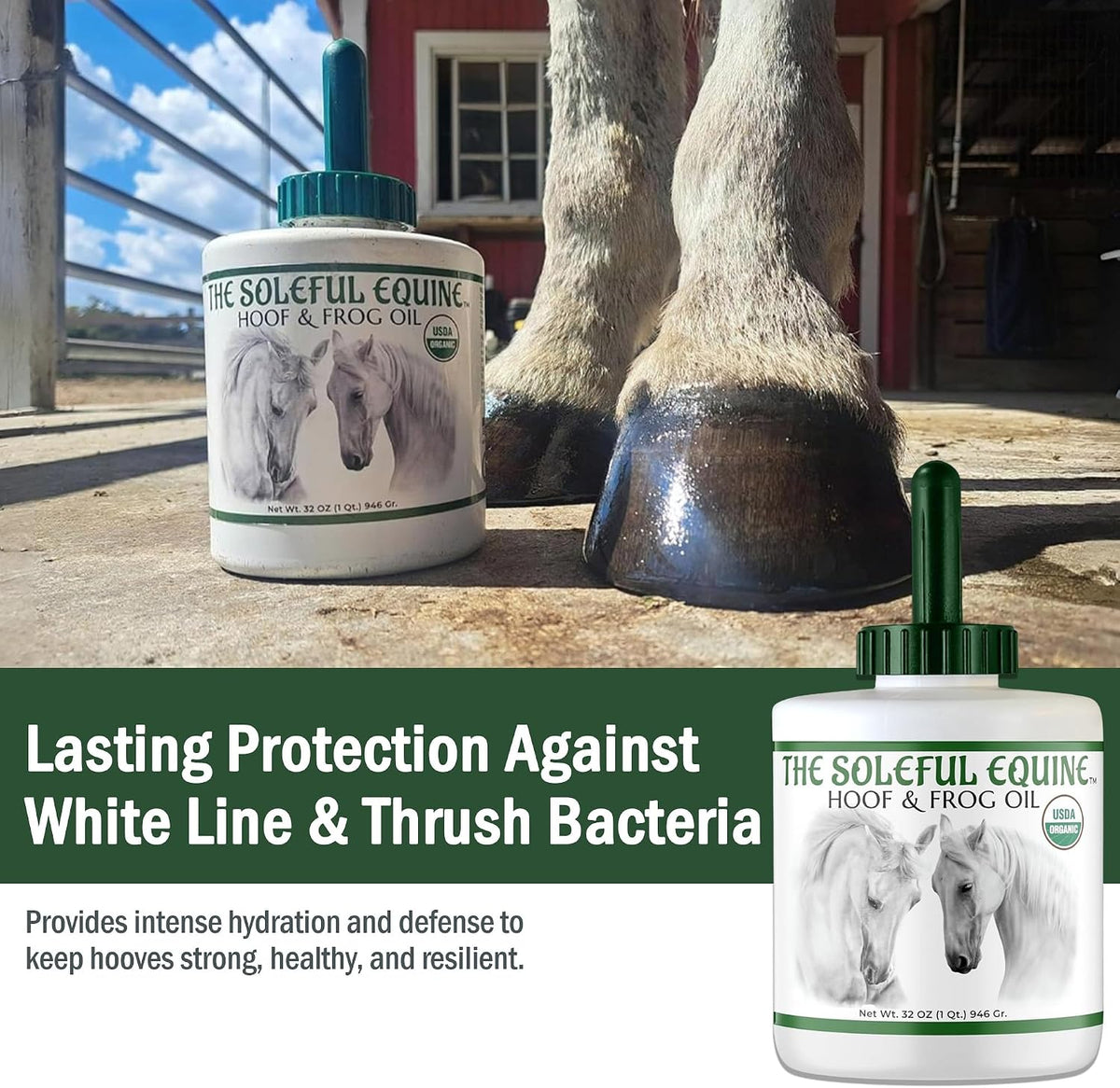 The Soleful Equine horse hoof and frog oil applicator bottle for white line disease