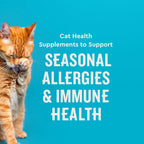 VetIQ feline allergy supplement chews with probiotics and fish oil for skin health