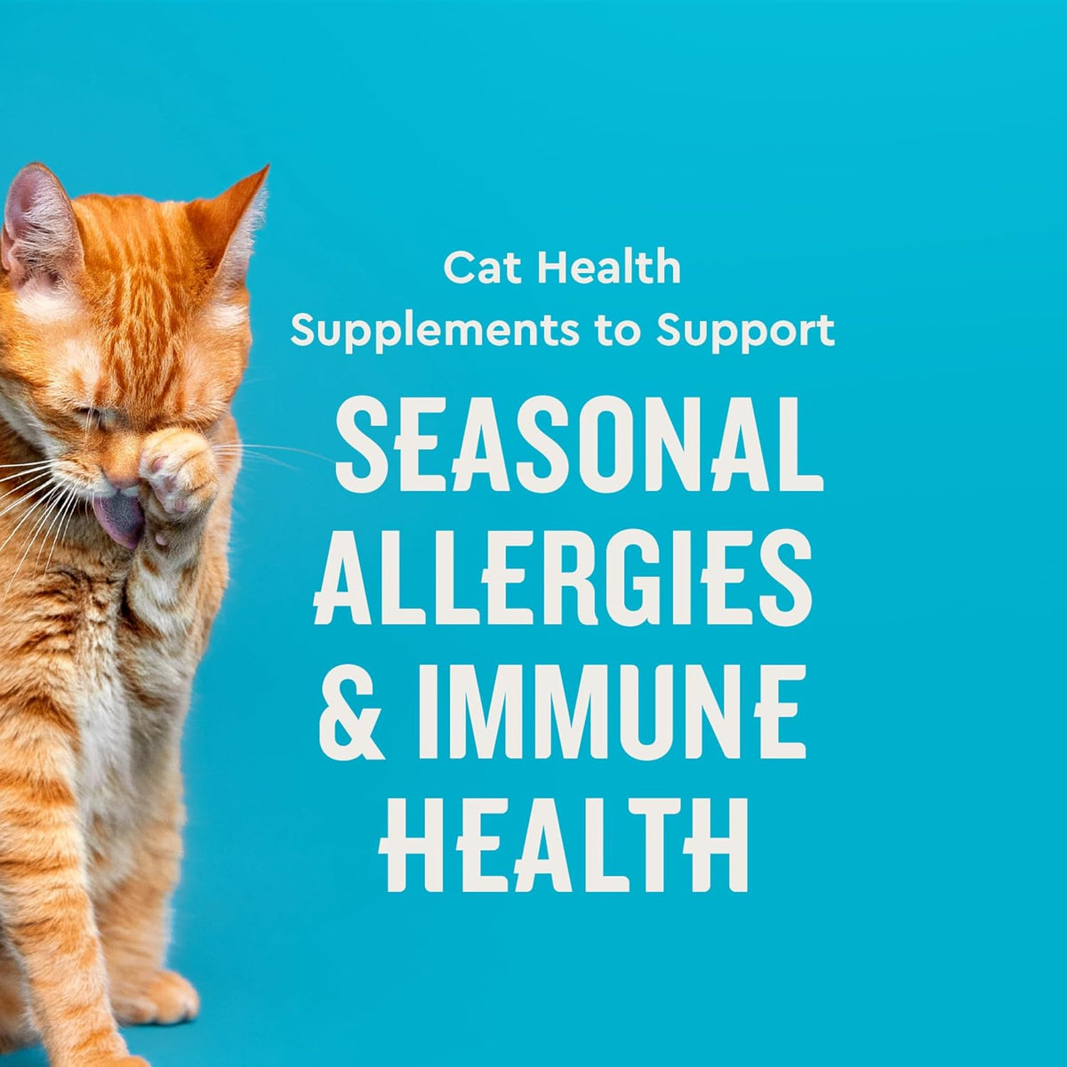 VetIQ feline allergy supplement chews with probiotics and fish oil for skin health