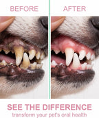 Blue pet oral care tool for puppies and kittens close up