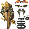 Wesnoy bearded dragon leash and harness set black leather