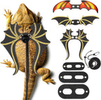 Wesnoy bearded dragon leash and harness set black leather