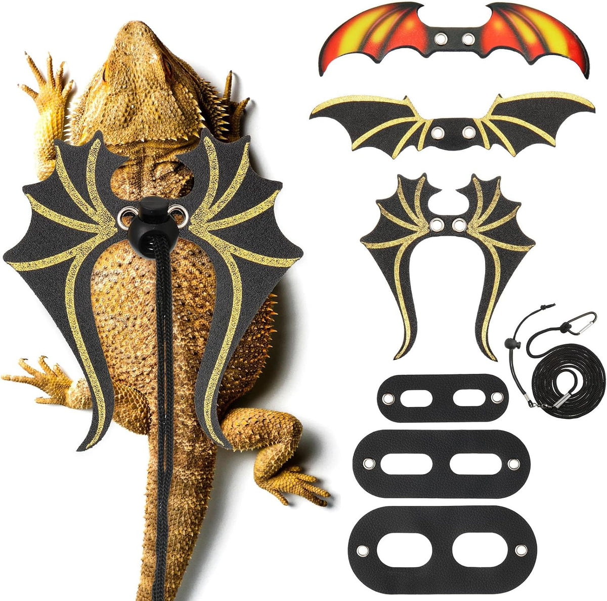 Wesnoy bearded dragon leash and harness set black leather