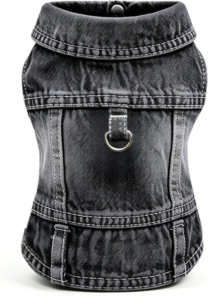 LKEX high quality denim dog clothes on a chihuahua
