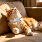 Lionet Paws soft cotton cat collars two pack showing adjustable straps