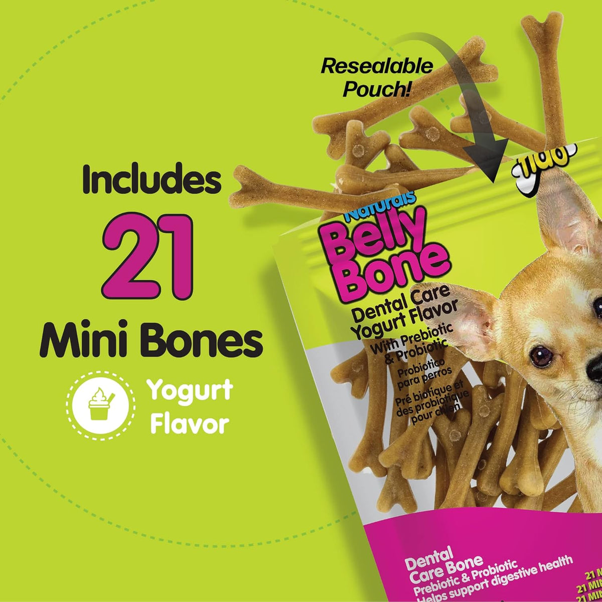 Small dog enjoying Fido Belly Bone dental treat