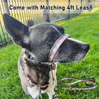 Barkless head collar and matching leash set for dogs