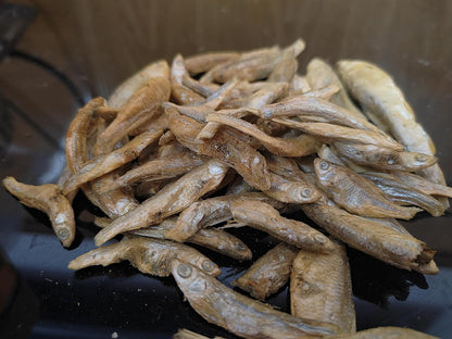 Minnows - 8.5 oz Freeze Dried Minnows for Cats & Dogs - 100% Natural Premium Cat & Dog Treat (8.5 OZ) - Image 9
