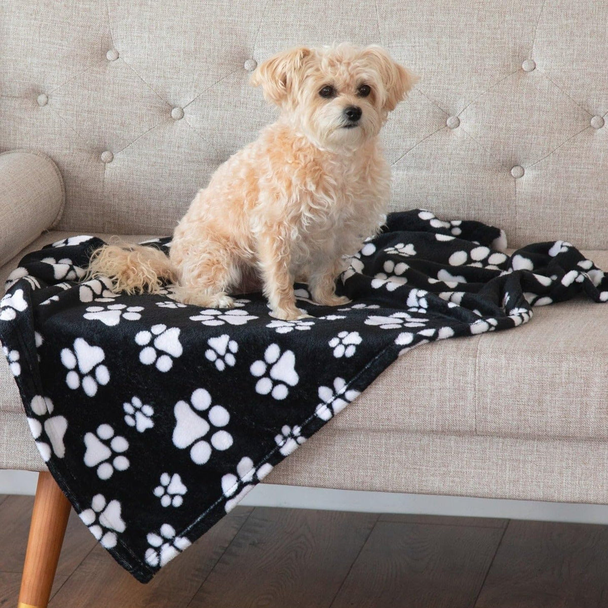 Authentic USA sourced fleece pet bedding in purple paw symphony color.