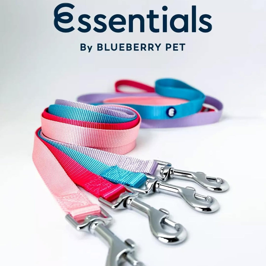 Premium high density nylon pet leash with polished metal snap hook