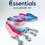 Premium high density nylon pet leash with polished metal snap hook