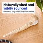 Amazon Basics dog chew antler side profile view
