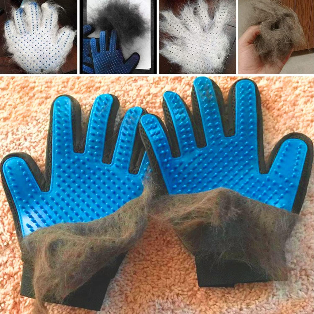 Adjustable wrist strap detail on blue pet glove