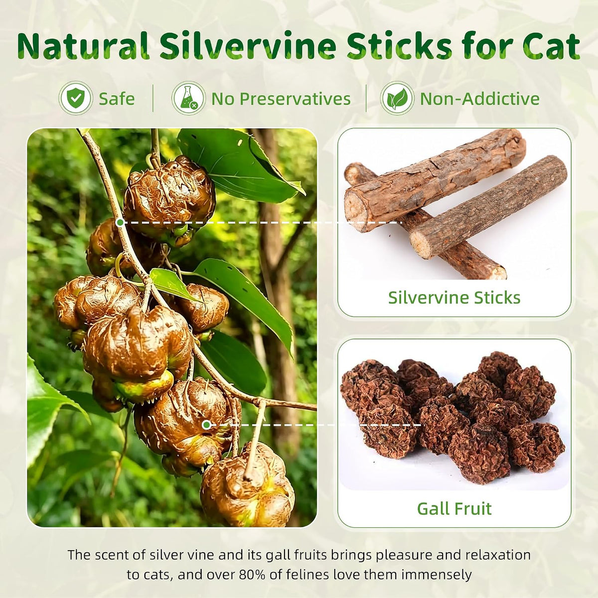 GBSYU Silvervine Sticks Cat Kitten Chew Toys for Indoor Cats Teeth Cleaning - Image 2