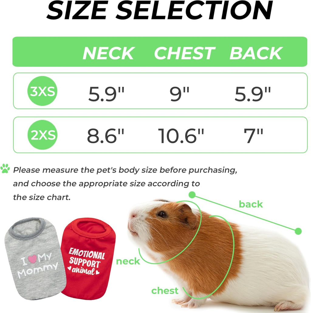 Aluzaemo small animal costume striped t shirt back view