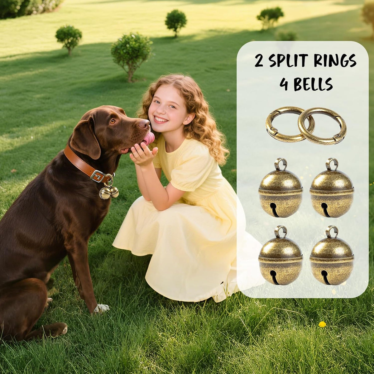 Geehouz outdoor pet tracker bells showing the attachment of the leather button strap to a collar.