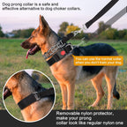 Adjustable dog choke pinch collar close up highlighting the comfort rubber tips on metal prongs.