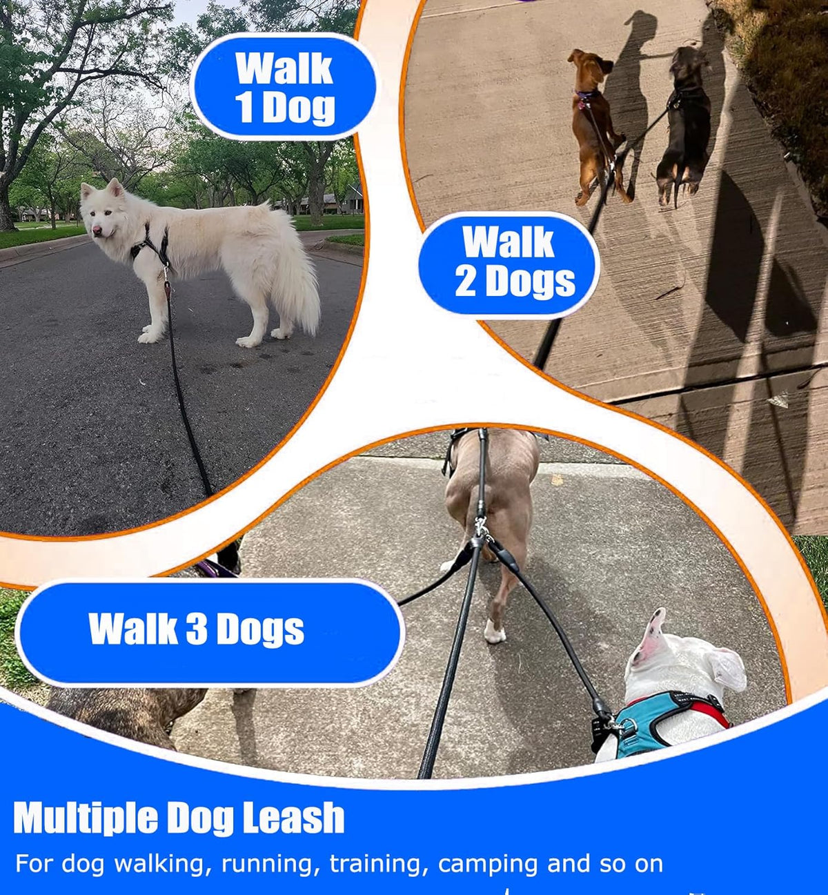 Sonqueen multiple dog lead displaying the three hundred sixty degree swivel no tangle device