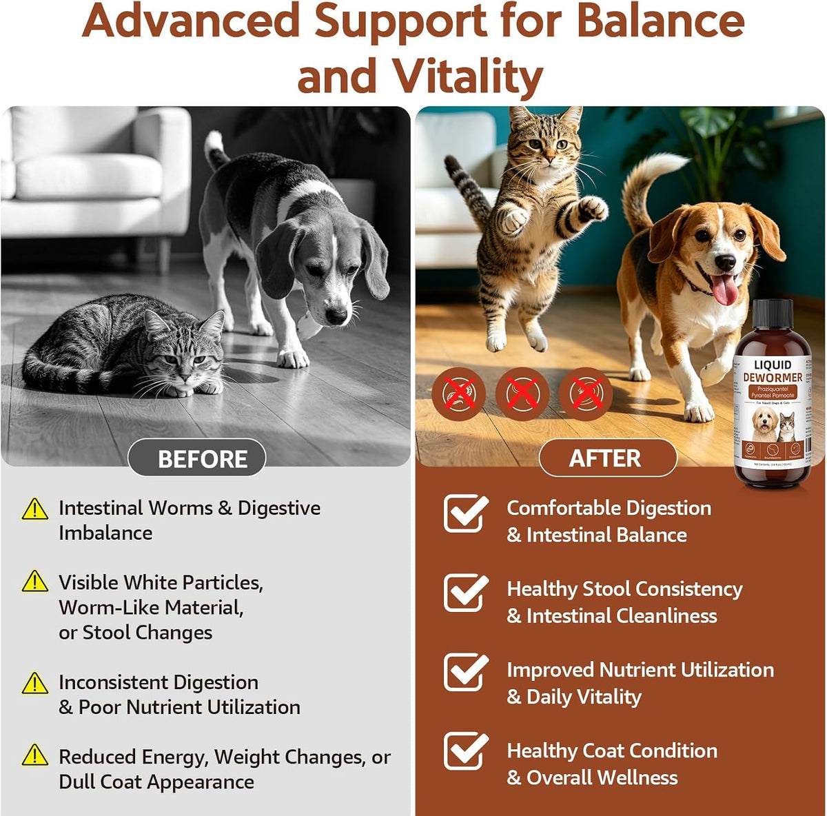 USA imported Nice2cu seven way dewormer support formula bottle on clean background.