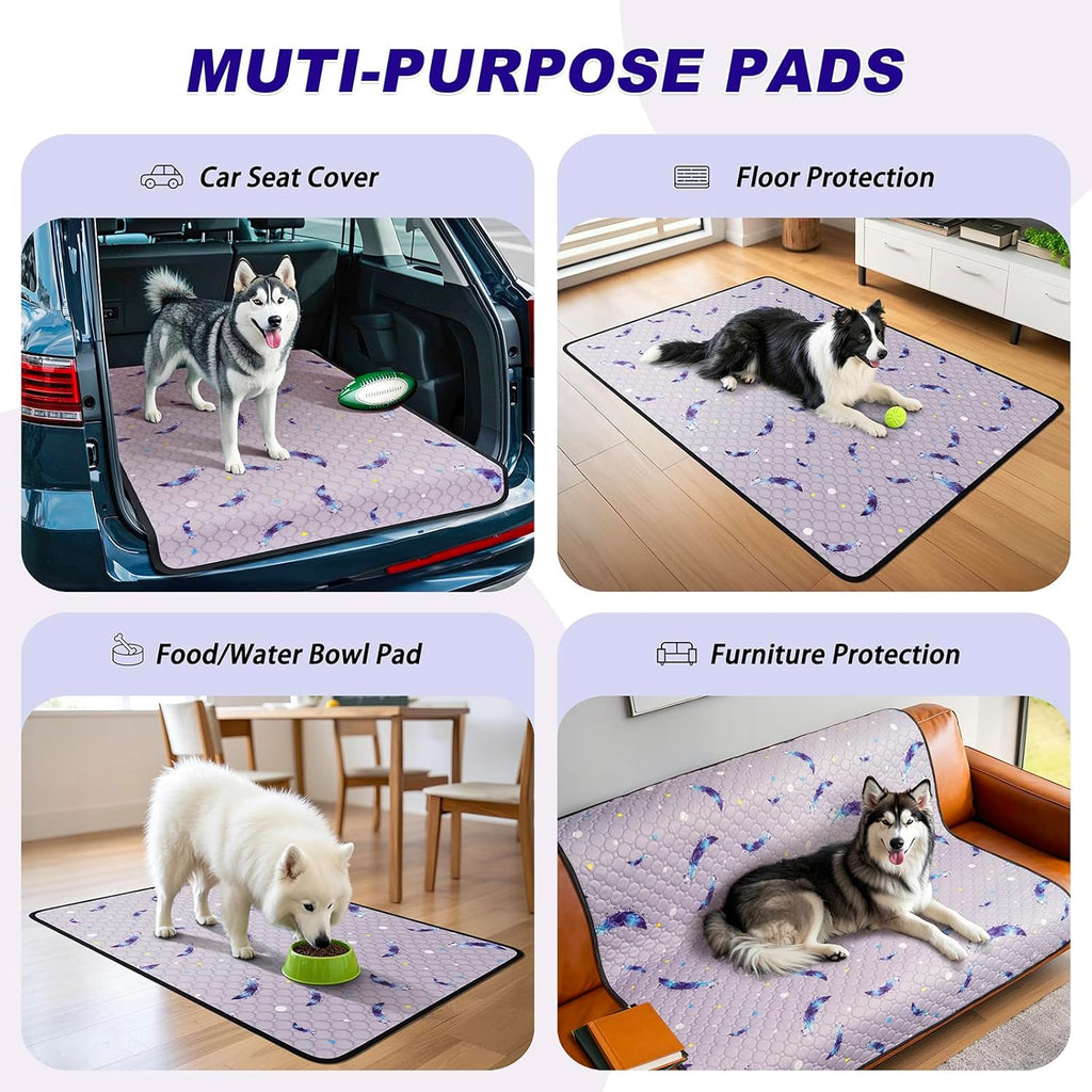 WanpeeGoo dog pee pads folded in a 2 pack