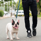 Pets First NFL licensed pet accessory team colors