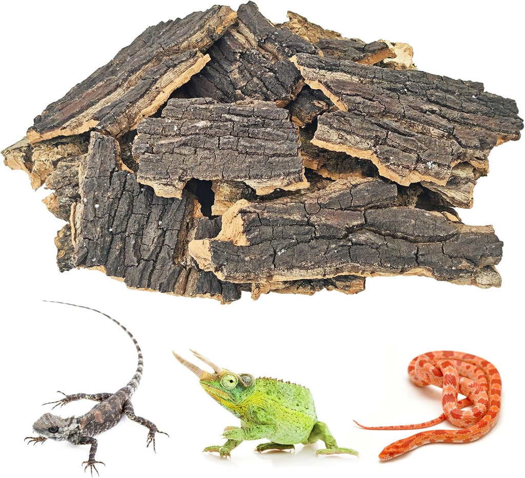 Biodegradable natural wood reptile substrate inside a terrarium
