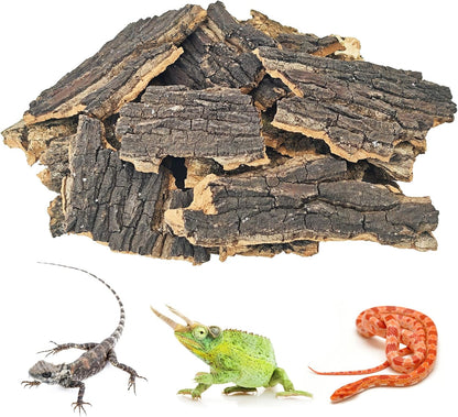 Biodegradable natural wood reptile substrate inside a terrarium