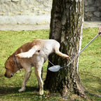 Reusable veterinary urine collection stick being cleaned with soap and water