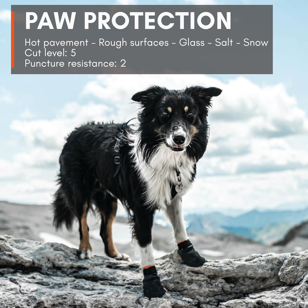 Dog wearing Non-stop dogwear Protector Booties on rough trail