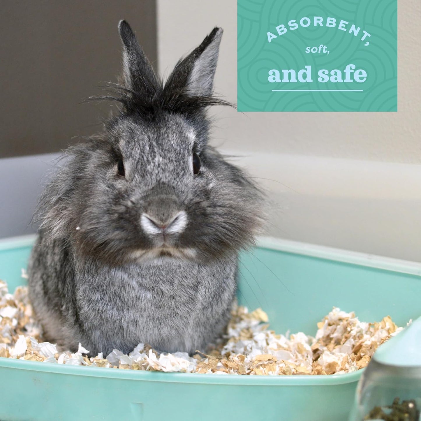 Oxbow bedding being used in a guinea pig habitat