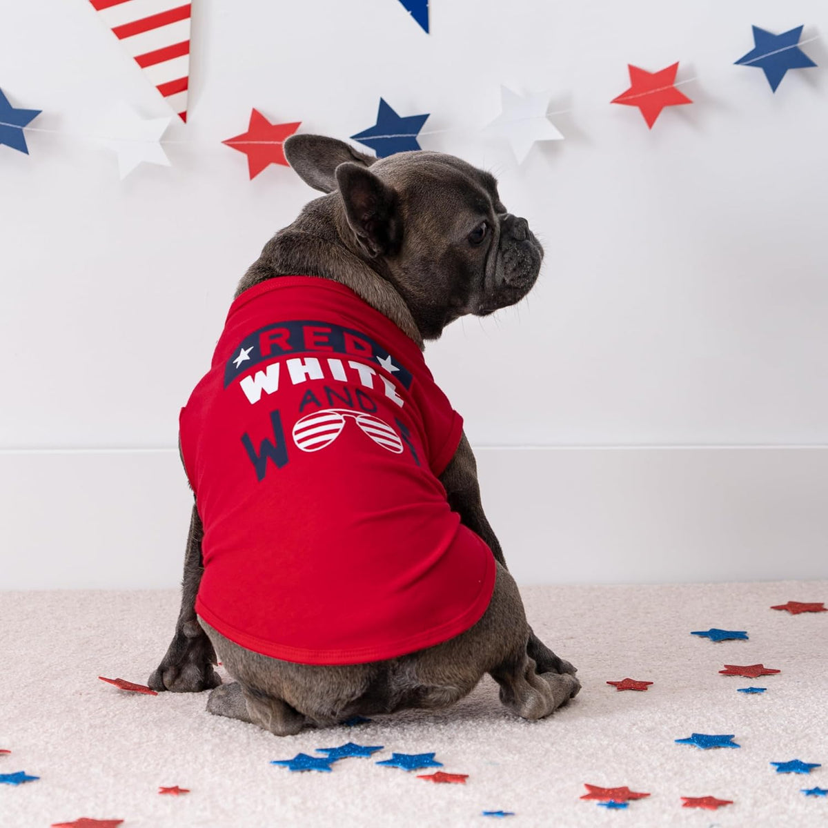 Close up of Red White and Woof lettering on dog clothing