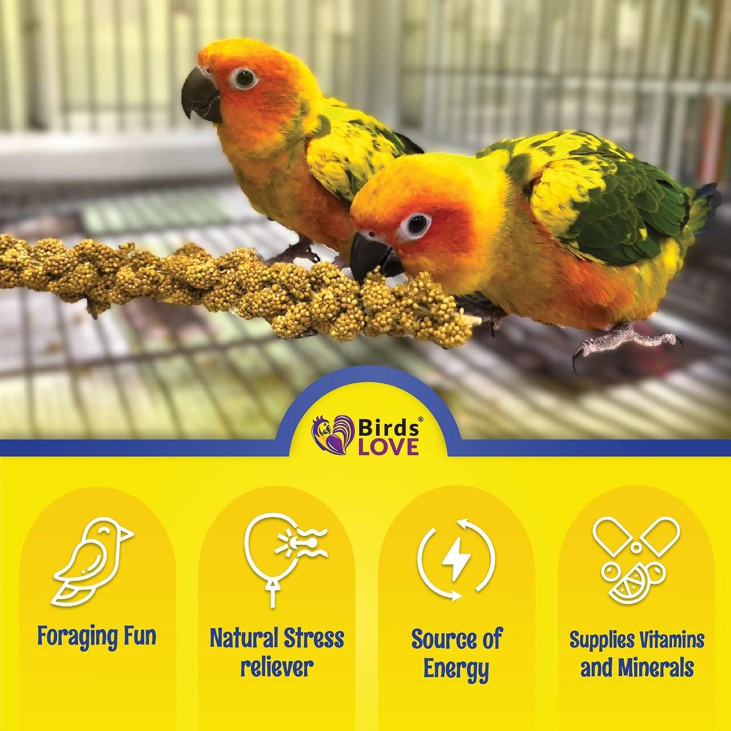 Bulk 5 pound packaging of Birds LOVE spray millet