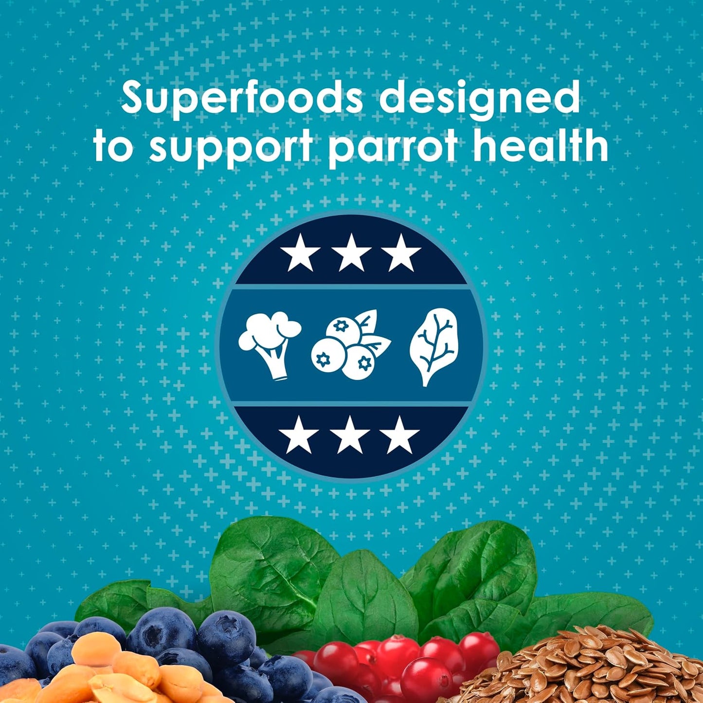 Kaytee Forti-Diet Pro Health Nourish+Protect Parrot Food, Comprehensive Nutrition Backed by Science, Digestive Health, Immune Support, 5 pounds - Image 4