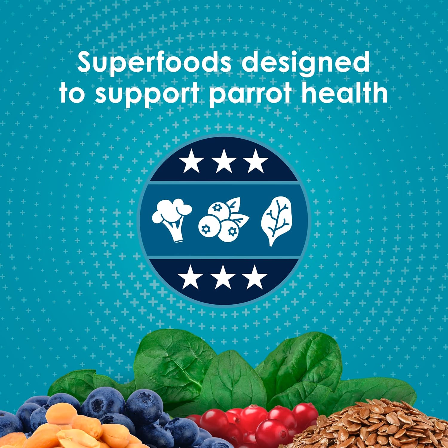 Kaytee Forti-Diet Pro Health Nourish+Protect Parrot Food, Comprehensive Nutrition Backed by Science, Digestive Health, Immune Support, 5 pounds - Image 4