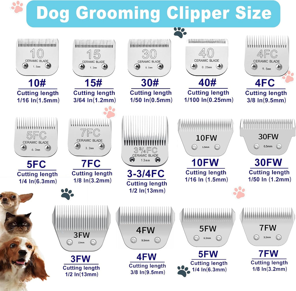 Close up view of size number 10 ceramic replacement dog blade