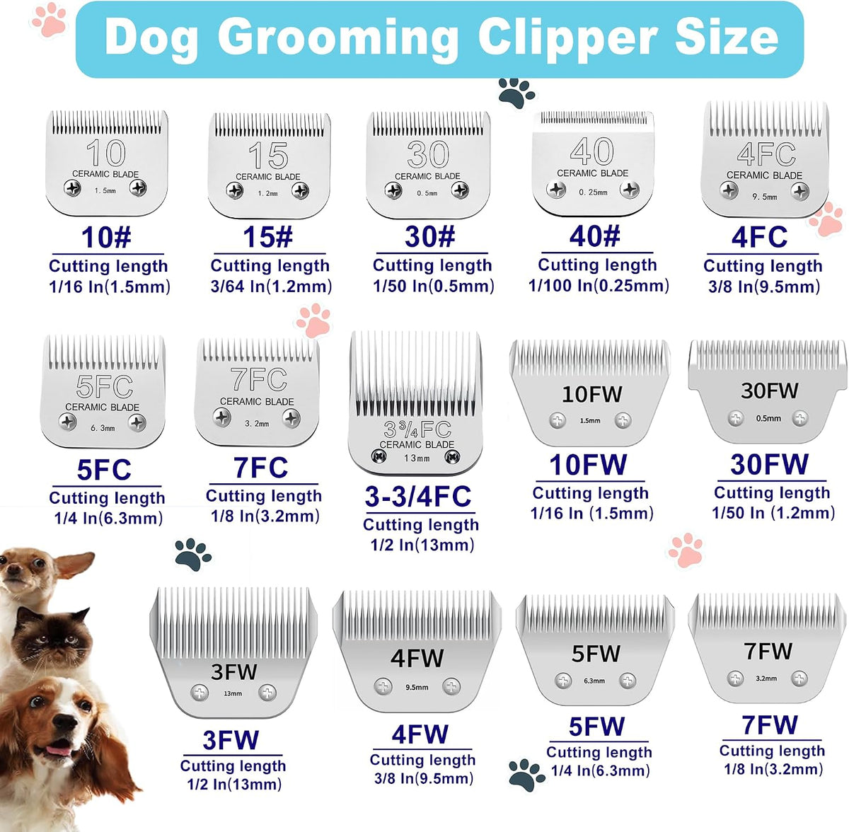 Close up view of size number 10 ceramic replacement dog blade
