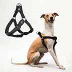 Kruz No Pull Dog Harness (Chest 26"-38", Weight 44-88 lbs) Heavy-Duty Pet Harness for Large Breeds, Ultra-Comfort Fit, Lifetime Durability, Adjustable Dog Harness No Pull Design (Amethyst, Large) - Image 12