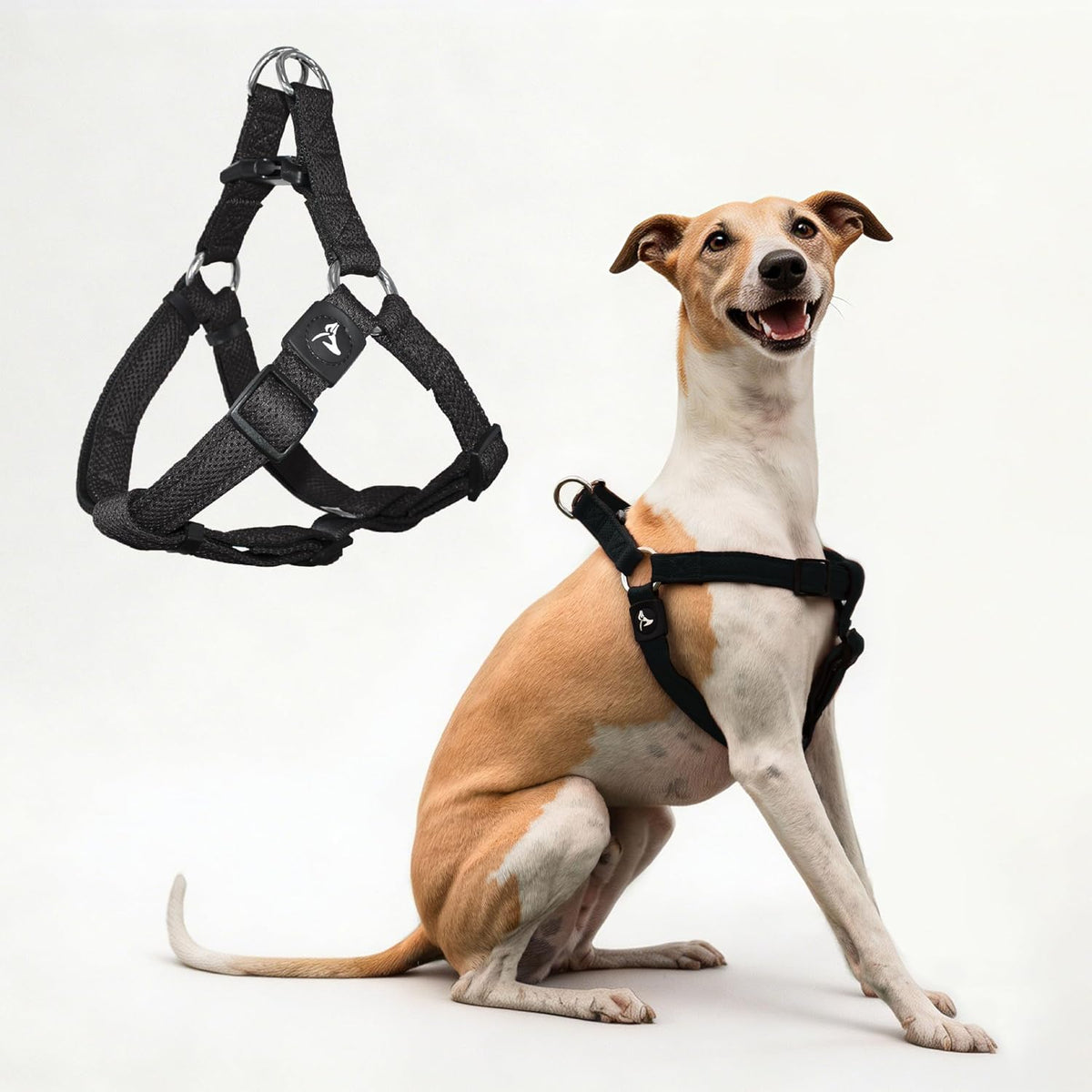 Kruz No Pull Dog Harness (Chest 26"-38", Weight 44-88 lbs) Heavy-Duty Pet Harness for Large Breeds, Ultra-Comfort Fit, Lifetime Durability, Adjustable Dog Harness No Pull Design (Amethyst, Large) - Image 12