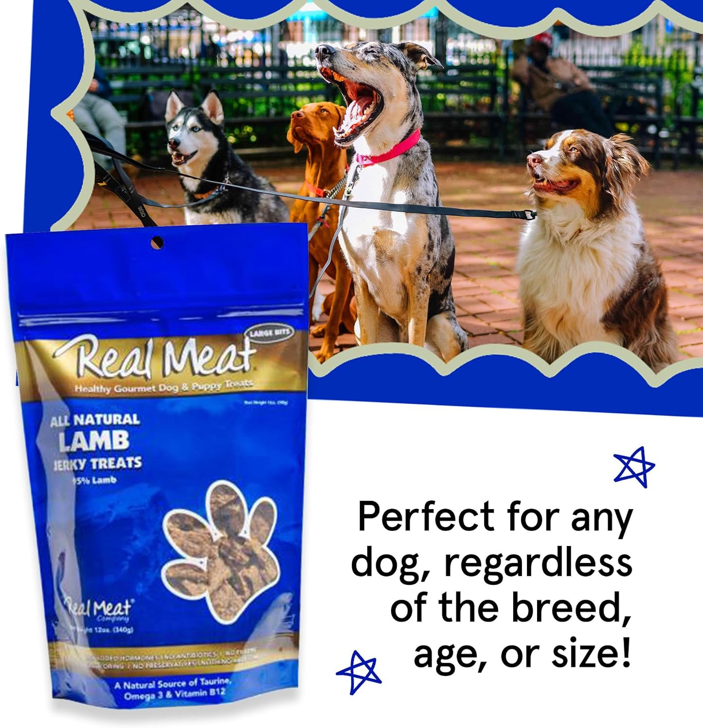 High protein grass-fed lamb dog treats in a bowl