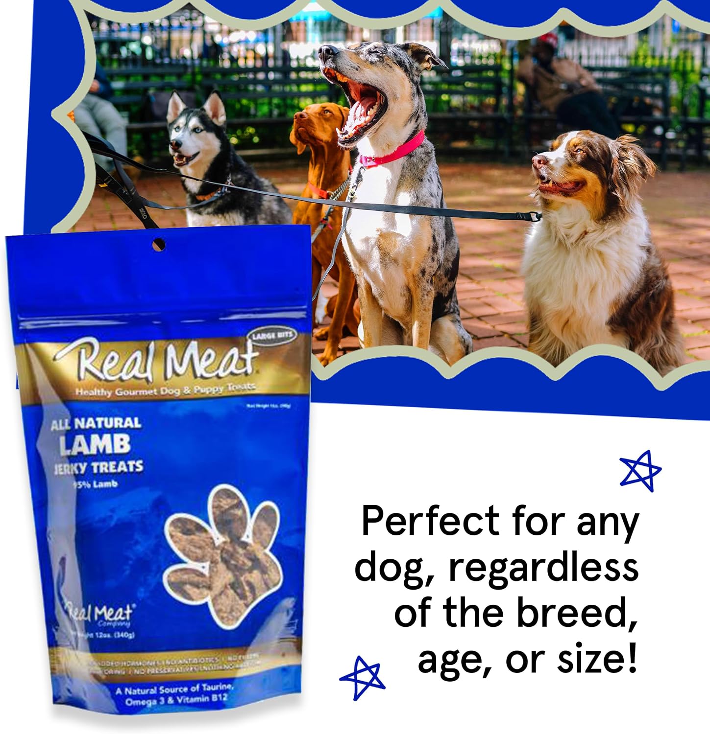 High protein grass-fed lamb dog treats in a bowl