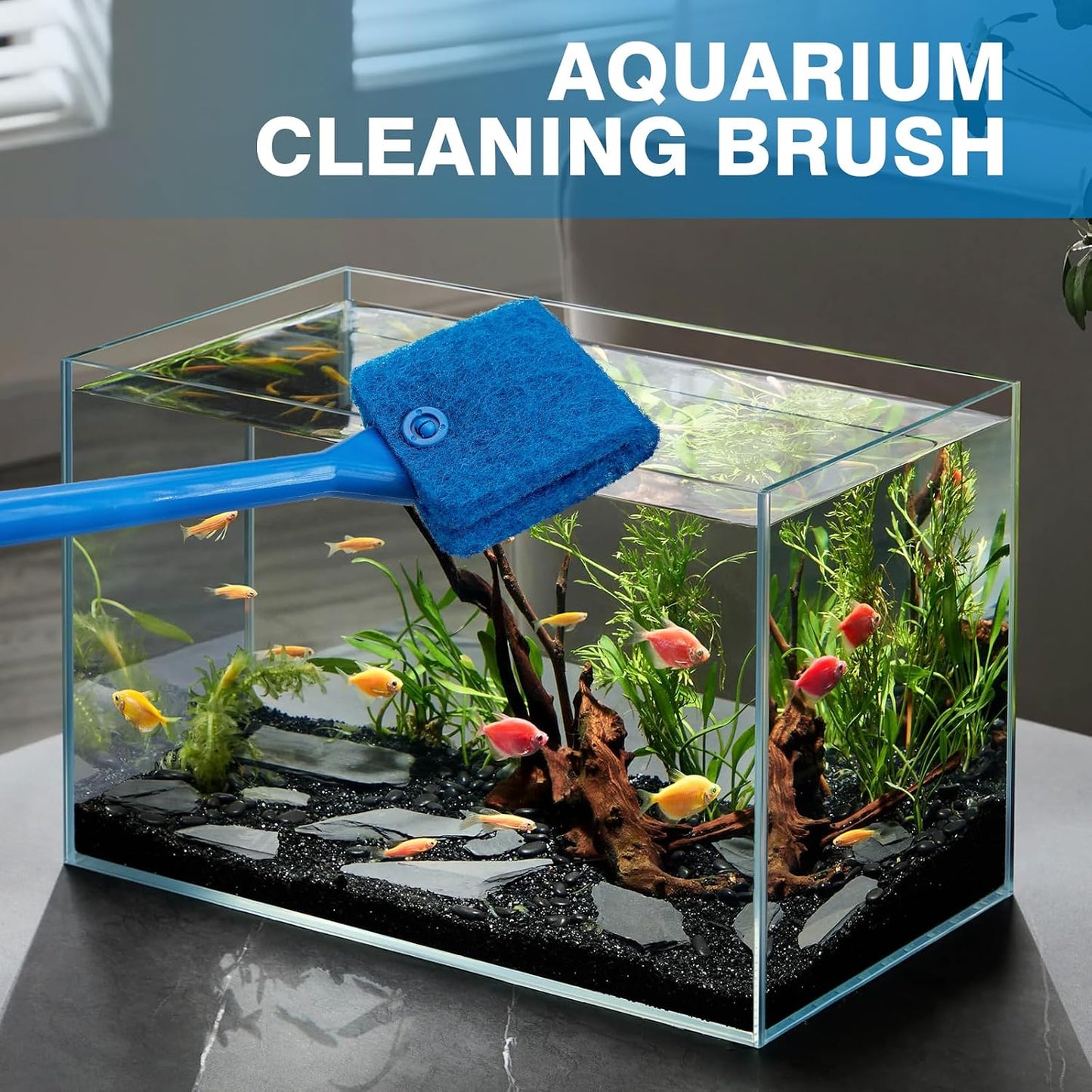 Double sided sponge scrubber head showing the scratch proof blue cleaning pad.