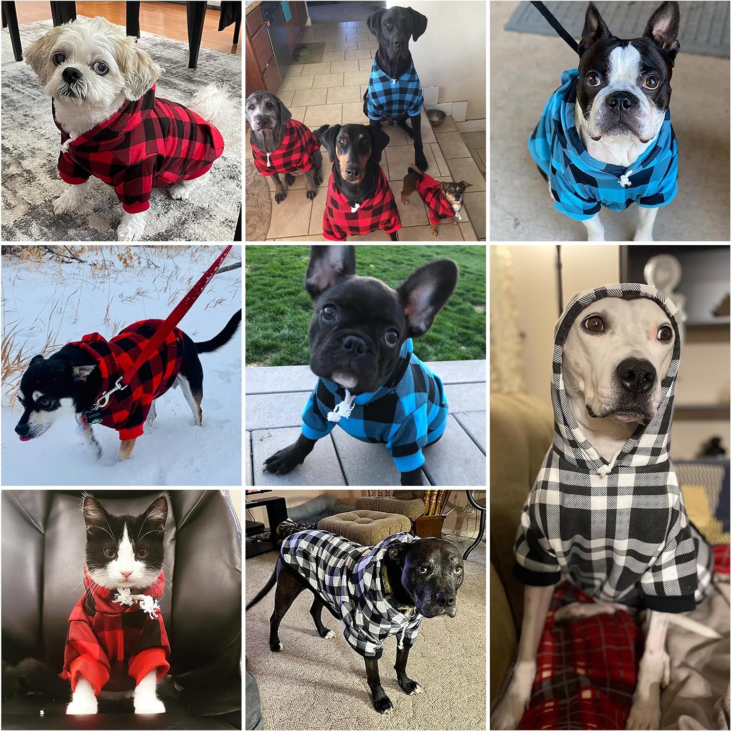Comfortable outdoor dog winter jacket with adjustable drawstring hood