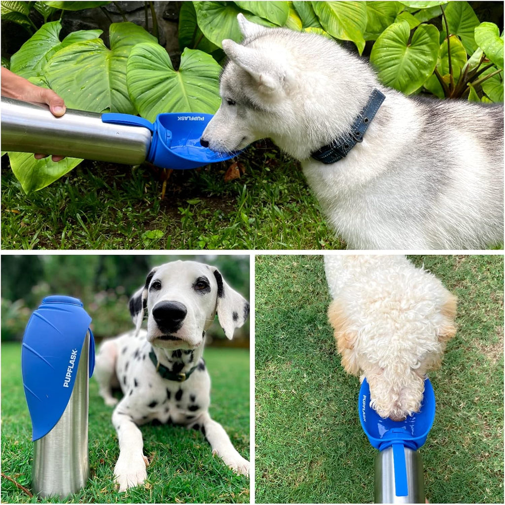 PupFlask Large Dog Water Bottle | 27 or 40 OZ Stainless Steel | Convenient Dog Drink Dispenser | Puppy Travel Water Bowl | Portable Pet Hydration Bottle | Leak Proof | Perfect Size For All Breeds - Image 14